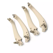 Inner Door Pull Handle Cover Set for BMW X4 G02 (2018-2020) in Beige color